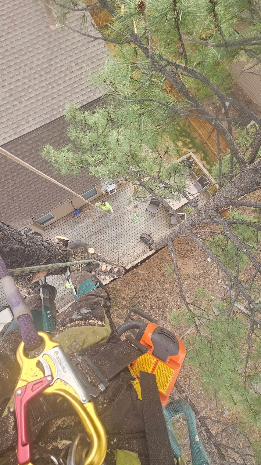 View from the top