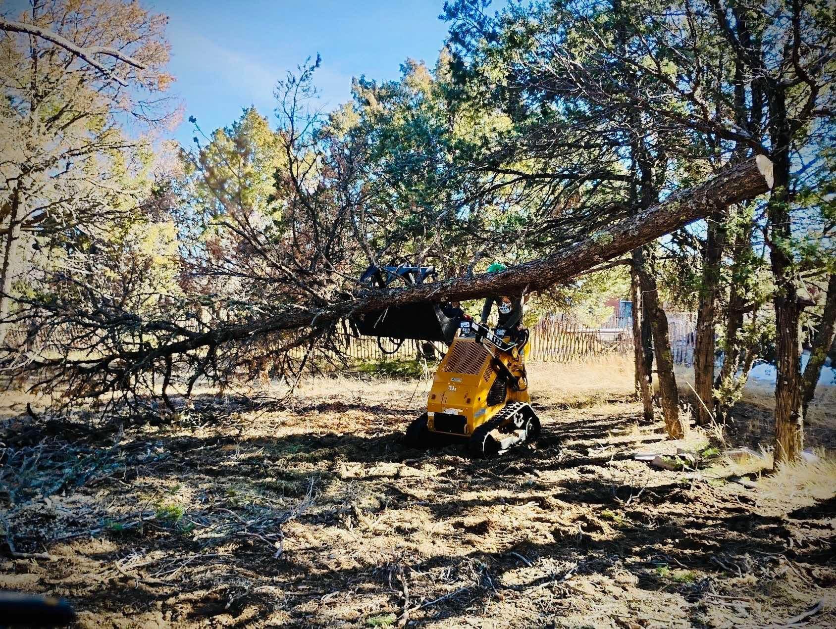 Mini skid moving brush